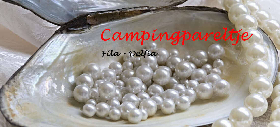 cover-campingpareltje-fila-delfia