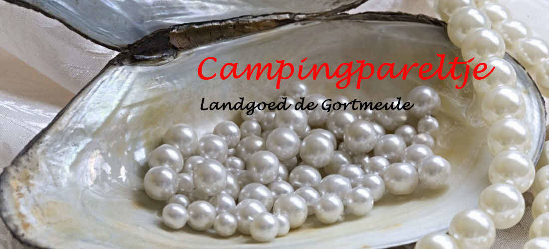 campingpareltjebrongortmeule