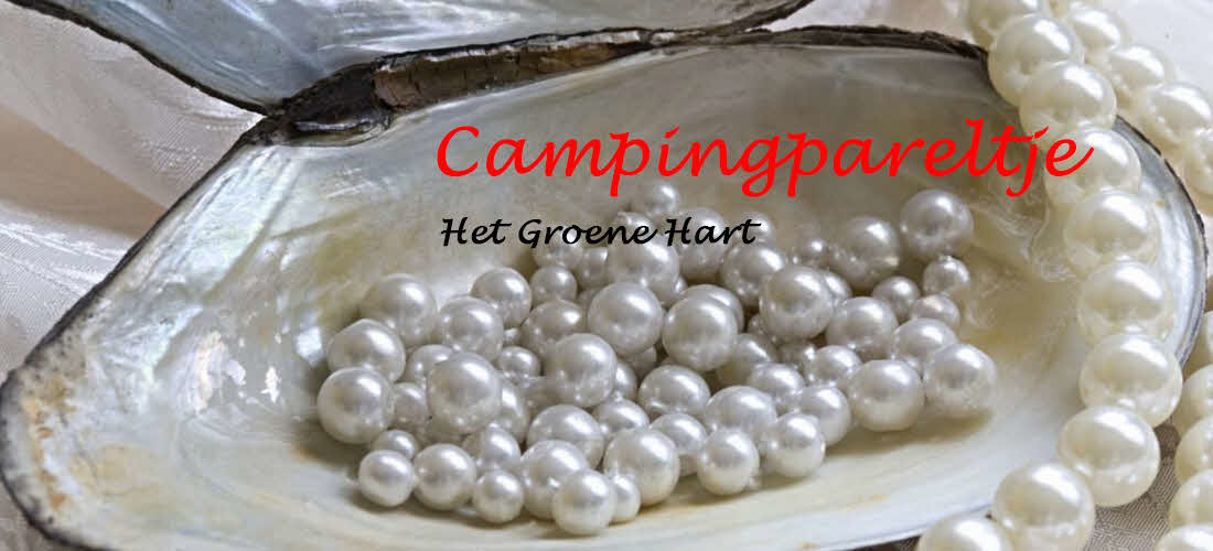 campingpareltjehetgroenehart