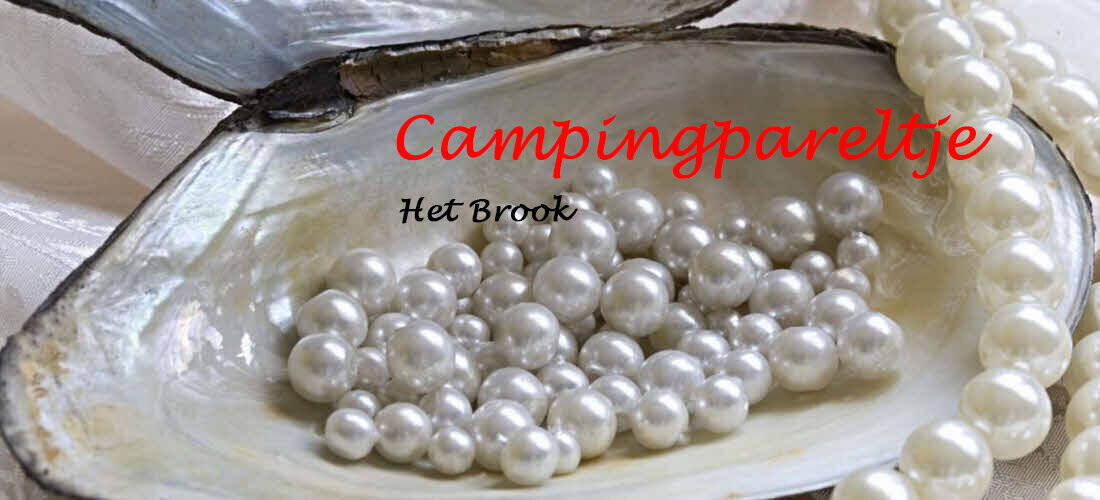 cover-campingpareltje-hetbrook