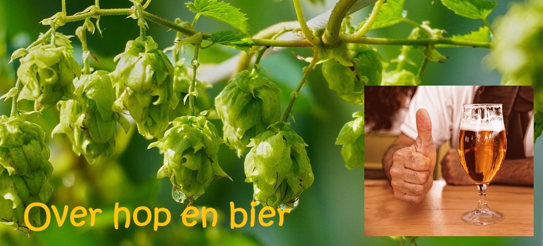 cover-over-hop-en-bier