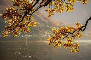 herfst-autumn2
